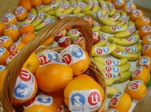 Витамин С от ТВЦ!